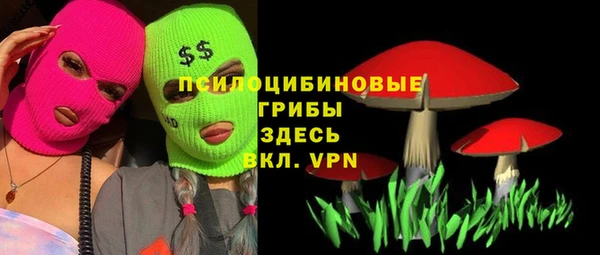 прущий лед Алексин
