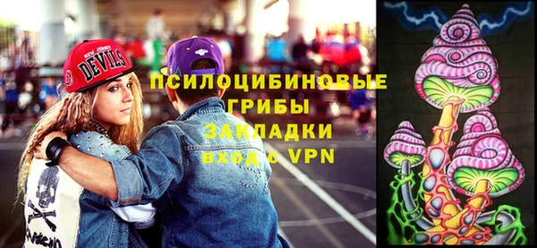 дмт Алзамай