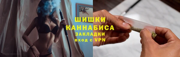 дмт Алзамай