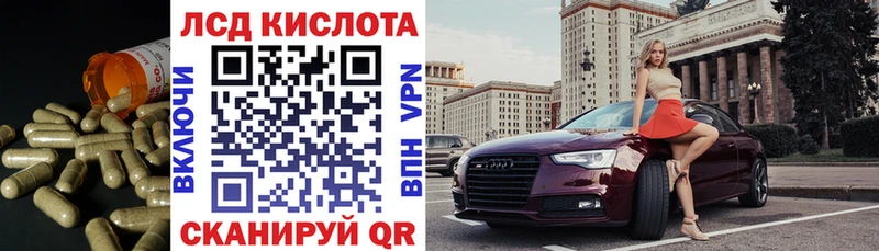 где найти   Алзамай  LSD-25 экстази ecstasy 