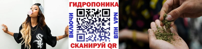 Канабис семена  Алзамай 